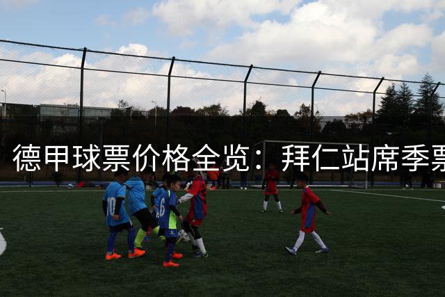 德甲球票价格全览：拜仁站席季票180欧 比多特便宜85欧